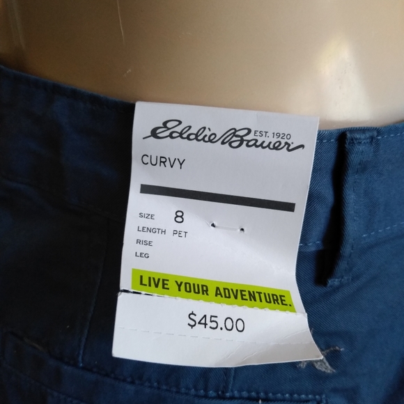 Eddie Bauer Curvy Petite Blue Stretchy Bermuda - Picture 8 of 14